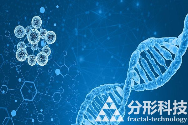 醫(yī)院網(wǎng)站建設(shè)的功能如何提升患者體驗(yàn)